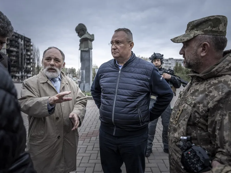 Nicolae Ciucă - Foto: Profimedia