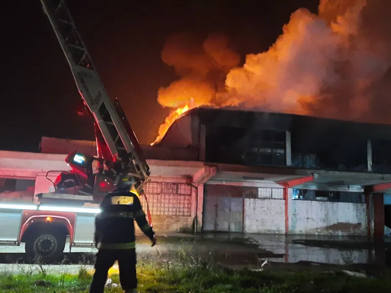 Pompierii au intervenit pentru stingerea flăcărilor. FOTO: Agerpres