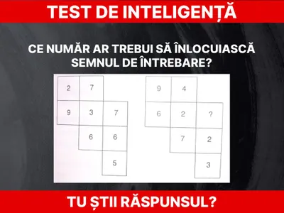 Test de inteligență Foto: Daniel Toșa