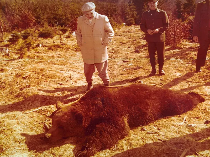 Cum a împușcat Nicolae Ceaușescu cel mai mare urs brun din lume - Foto: Fototeca online a comunismului românesc