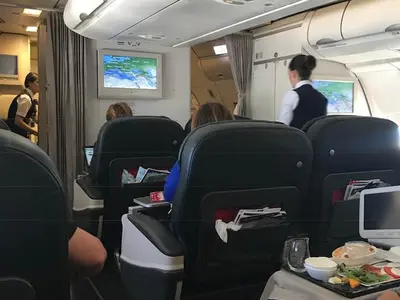 Business class, regretul Rodică Nassar/FOTO: facebook.com