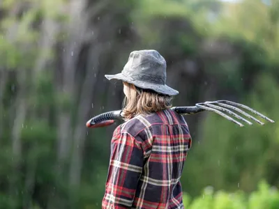 Investiție de peste 40 de milioane € în învățământul liceal agricol. Câte licee beneficiază - Foto: Profimedia Images/ Imagine cu caracter ilustrativ