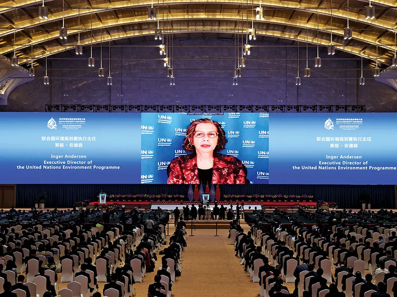 Inger Andersen, de la ONU, ține un discurs la conferința COP15 privind clima din China, în octombrie 2021