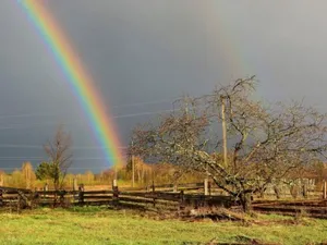 Ploaia este bună/FOTO: ziaruldeiasi.ro