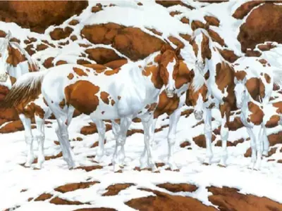 Iluzie optică. Puțini sunt ci care află răspunsul corect Foto: Bev Doolittle