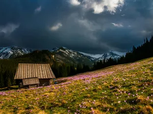 Temperaturi mai mici cu 20 de grade din cauza furtunii Renata. De la ploi, la zăpadă Foto: Pexels (fotografie cu caracter ilustrativ)