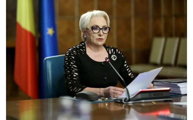 Premierul Dăncilă se plânge la CCR că Iohannis îi blochează guvernarea Foto: guv.ro