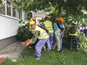 Mai mulți muncitori vietnamezi  care lucrau la anveloparea unui bloc, au participat și la înlăturarea unui  copac doborât de furtună în București - Foto: INQUAM PHOTOS/ Octav Ganea