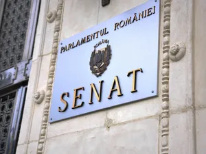 Vot în Senatul României - Foto: Facebook