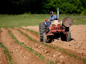 126.1 milioane de lei pentru agricultori- Foto: PEXELS PHOTOS/ Mark Stebnicki