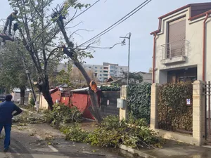 Un mare oraș din România a fost devastat complet din cauza vremii. Peste 1.000 de copaci doborâți - Foto: Primăria Constanța/ Facebook