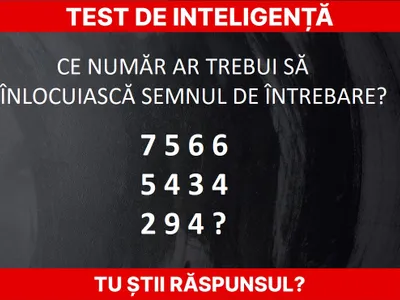 Test de inteligență Foto: Newsweek