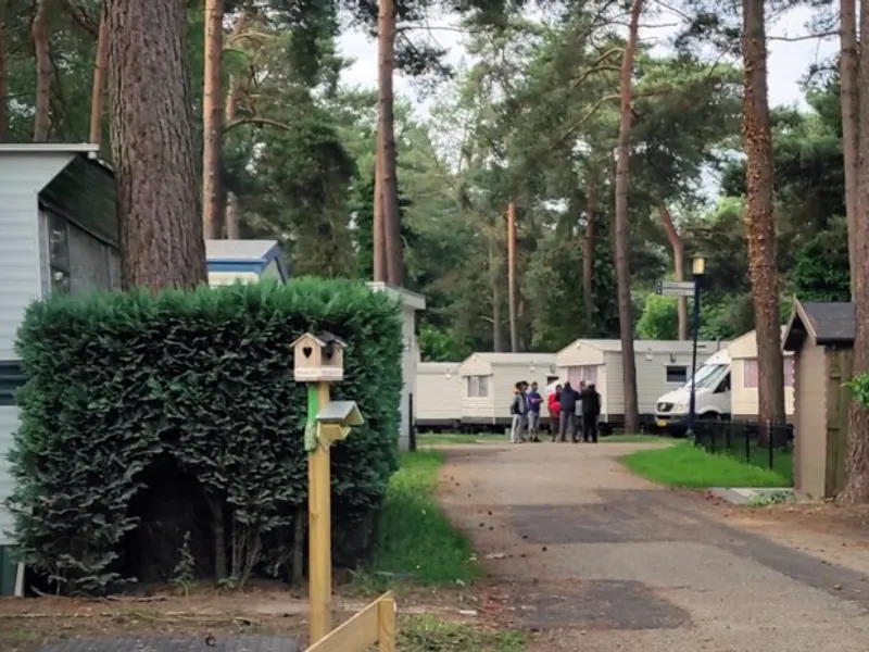 Două autocare cu căpșunari români au revoltat turiștii dintr-un camping din Belgia Foto: nieuwsblad.be