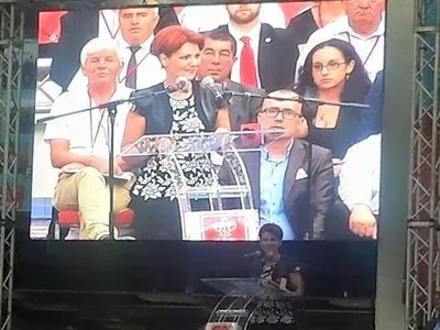 Lia Olguța Vasilescu, fostă ministră a Muncii, a fost acuzată că a cerut eliminarea din CES a ONG-urilor „incomode”. FOTO: Facebook Lia Olguța Vasilescu