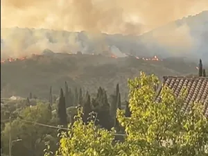 Incendii de vegetație în Corfu Foto: captură Twitter