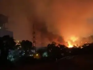 Incendiul s-a apropiat de centrala termică. FOTO: Captură video