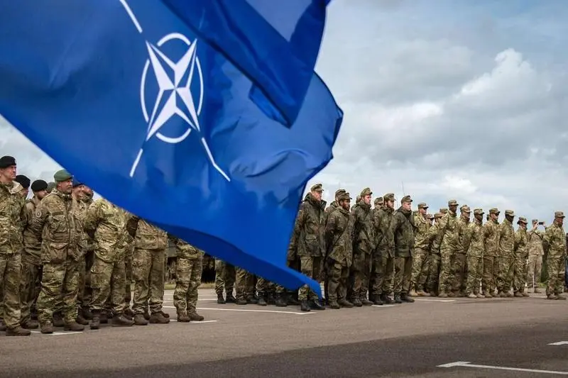 Finlandezii vor in NATO  / Foto: thenewfederalist.eu