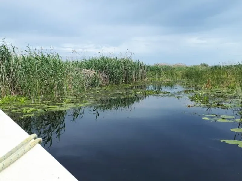 Delta Dunării crește în preferințele românilor