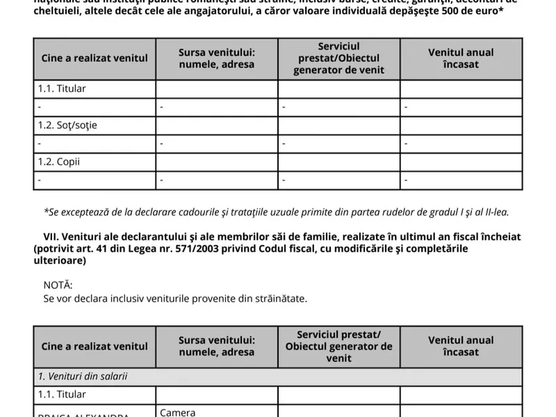 Declarație de avere Alexandra Patricia Braica