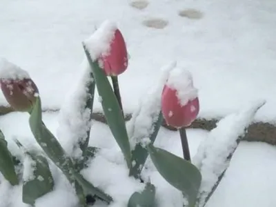 Cum arată iarna din mijlocul primăverii Foto: meteoplus