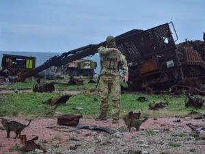 VIDEO Imagini unice de la eliberarea Insulei Șerpilor de către Ucraina. Rusia s-a retras umilită - Foto: Profimedia Images (Imagini cu caracter ilustrativ)