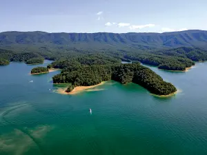 RIDICÂNDU-SE DIN CENUȘĂ Wood a crescut în estul Tennessee, în apropiere de South Holston Lake, o zonă care a fost devastată de un dezastru provocat de deversarea de cenușă de cărbune în 2008