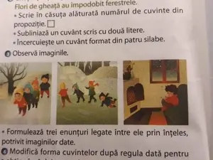 Învățătorul - "patinuar" a ales să nu respecte manualul, ci să inoveze stupid/FOTO: educatieprivata.ro