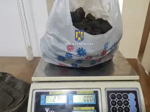 Cinci bărbați, prinși cu 2,7 kg de trufe și 15 câini specializați. Au primit amendă 20.000 lei - Foto: News.ro