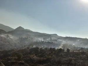 Descoperire macrabră, în Grecia. 18 cadavre arse, într-o pădure în flăcări de la granița cu Turcia - Foto: Profimedia Images - Imagine cu rol ilustrativ