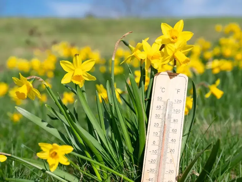 METEO Cum va fi vremea de 1 mai, în România? Cine se bucură de un grătar la soare și cine de umbrelă - Foto: Arhiva (imagine cu rol ilustrativ)