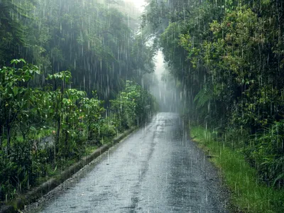 METEO Cod portocaliu de ploi torențiale, vânt și descărcări electrice în 18 județe - Foto: Freepik.com (Imagine cu rol ilustrativ)