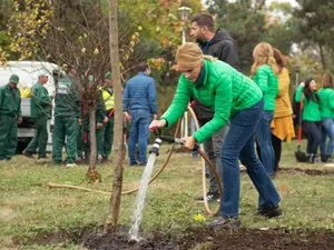 Gabriela Firea, pe când își făcea imagine de ecologistă, plantând copaci. Foto: Facebook