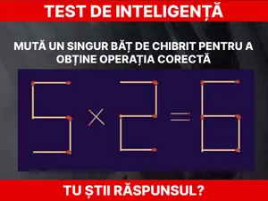 Test de inteligență Foto: Daniel Toșa