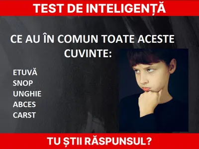 Test de inteligență Foto: Newsweek