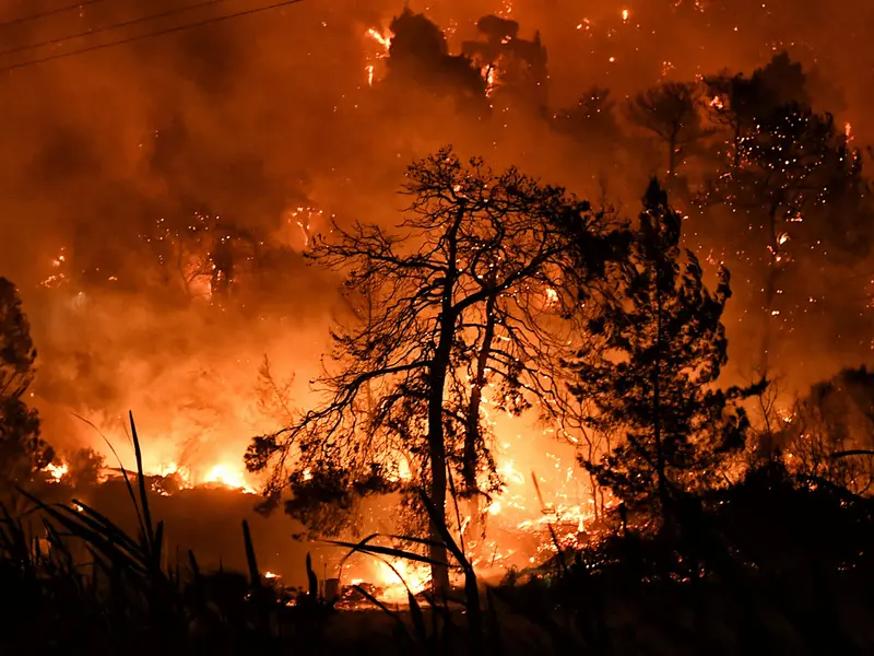 Și sudul Italiei e afectat de incendiile de vegetație. FOTO: Facebook