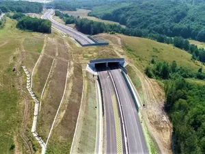 Tunel creat pentru a facilita trecerea animalelor sălbatice/FOTO: Asociația Pro Infrastructură