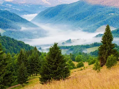 Locul din România unde oamenii ar crește în înălțime dacă fac acest lucru. Ce spun cercetătorii - Foto: Profimedia Images/ Imagine cu caracter ilustrativ