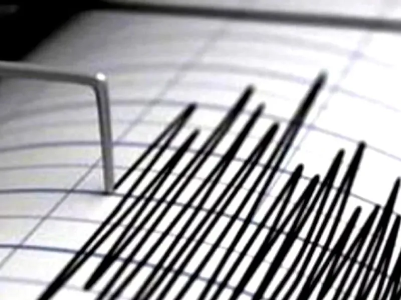 Un nou cutremur s-a produs în zona seismică Vrancea. A fost resimțit în mai multe orașe ale țării/FOTO: Pixabay