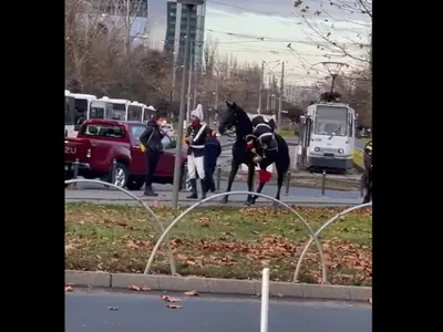 Jandarmul, surprins în timp ce cădea de pe cal. Foto: Facebook/Radu Dragomir