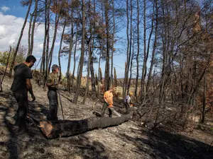 Nu este pentru prima dată când insula Evia este devastată de incendii Foto: profimediaimages