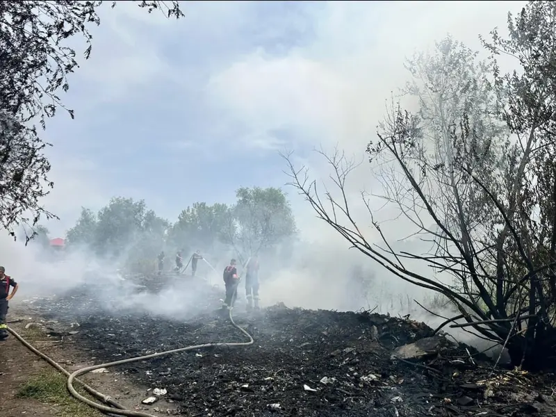 Incendiu masiv lângă București. A venit Garda de Mediu - Foto: Garda de mediu