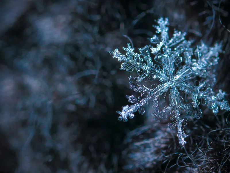 VREMEA Ciclonul polar ar putea aduce un Crăciun cu zăpadă ca pe vremuri. Vine un aer rece Foto: Pexels (fotografie cu caracter ilustrativ)