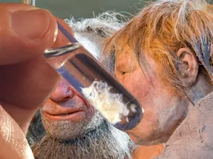 Bacterii de Neanderthal de acum 100.000 de ani, readuse la viață pentru prima dată în istorie - Foto: Profimedia Images - Caracter ilustrativ