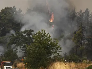 Mii de oameni fug din calea focului/Foto: euronews