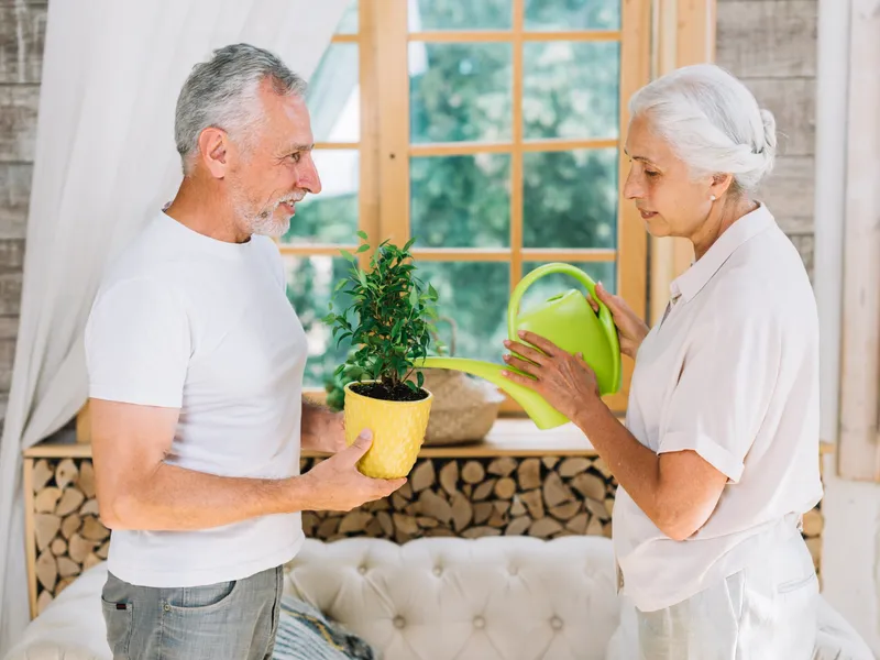 Nucile din casă, singurul aliment care te ajută să slăbești rapid și sigur. Scad colesterolul rău - Foto: Profimedia Images (imagine cu rol ilustrativ)