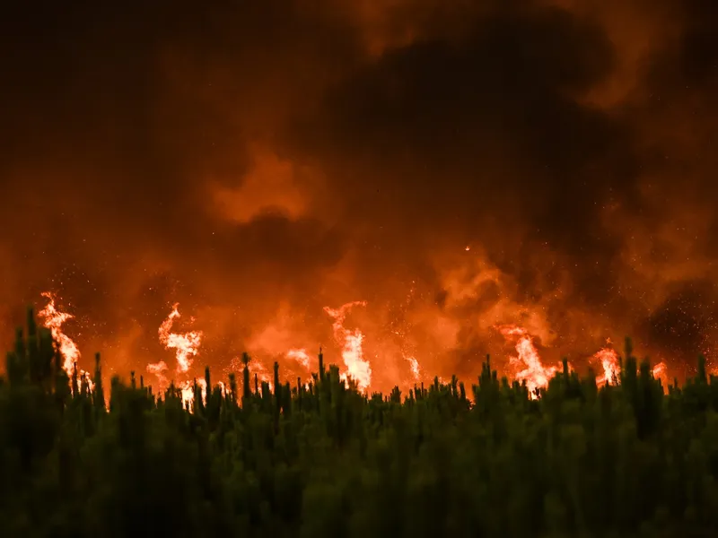 Incendiu de pădure în apropiere de Belin-Beliet în Gironde, sud-vestul Franței/ foto: Profimedia Images