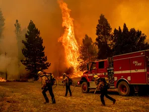 "Oak Fire" a izbucnit vineri în comitatul Mariposa, în apropierea Parcului naţional Yosemite şi a uriaşilor săi arbori sequoia. / Foto: Profimedia