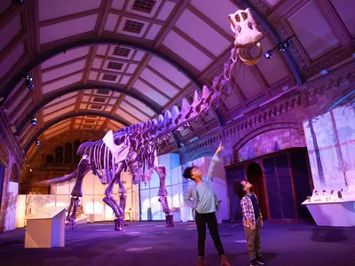 Un mulaj al unuia dintre cei mai mari dinozauri care au cutreierat Pământul, Patagotitan mayorum, este expus la Londra, în sala de expoziţii a Muzeului de Istorie Naturală. - Foto: Profimedia Images