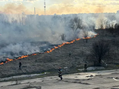 Incendiu în Delta Văcărești Foto: ISU București-Ilfov