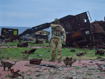 VIDEO Imagini unice de la eliberarea Insulei Șerpilor de către Ucraina. Rusia s-a retras umilită - Foto: Profimedia Images (Imagini cu caracter ilustrativ)